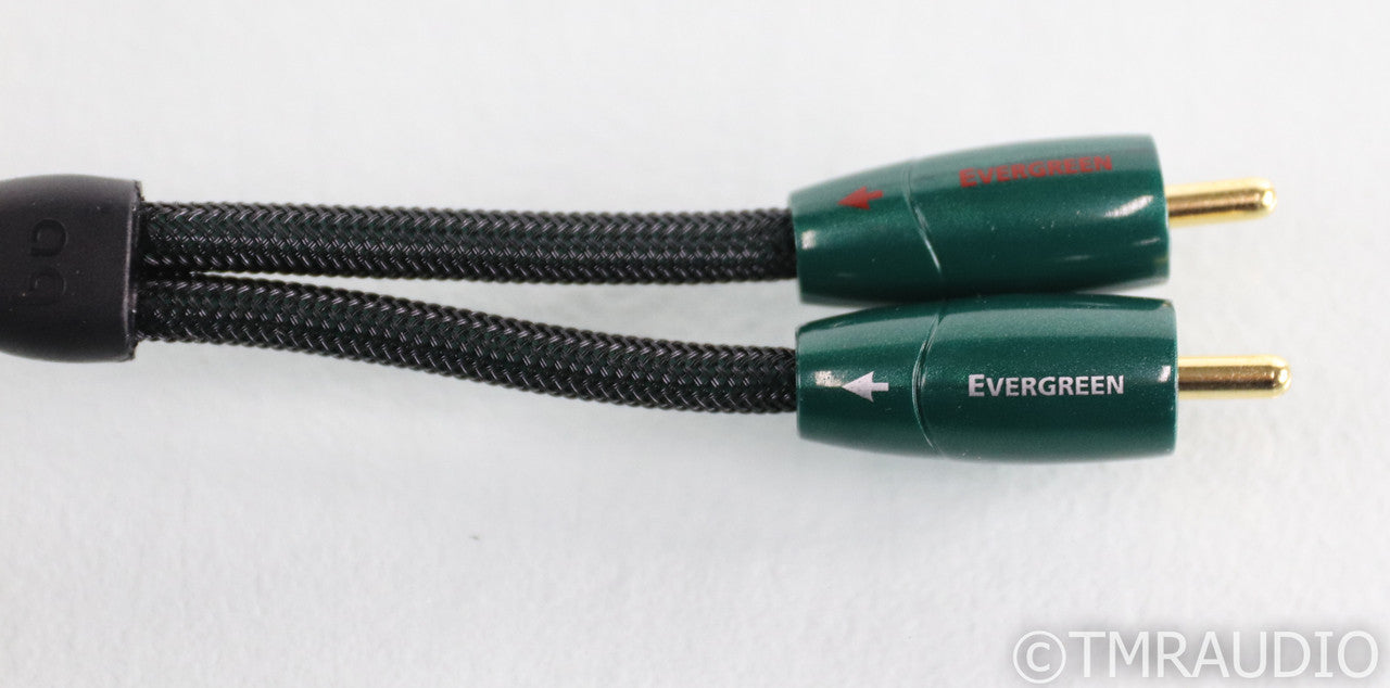 AudioQuest Evergreen RCA Cables; 1m Pair Interconnects (Open Box)