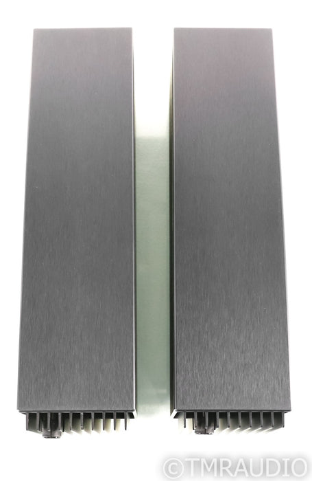 Crimson Electronics CS640E-III Mono Power Amplifiers; Pair; CS-640-E