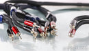 AudioQuest Thunderbird Bi-Wire Combo Speaker Cables; 8ft Pair; 72v DBS
