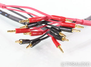 DH Labs Q-10 Signature Silver Sonic Bi-wire Speaker Cables; 7ft Pair; Q10
