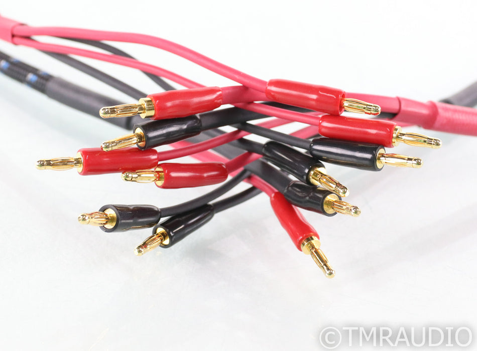 DH Labs Q-10 Signature Silver Sonic Bi-wire Speaker Cables; 7ft Pair; Q10