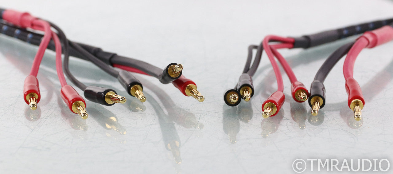 DH Labs Q-10 Signature Silver Sonic Bi-wire Speaker Cables; 7ft Pair; Q10