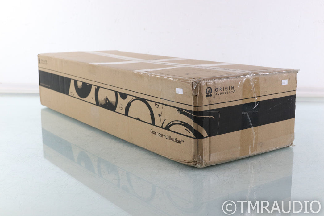 Origin Acoustics THTR69 In-Wall Speaker; THTR-69 (New)
