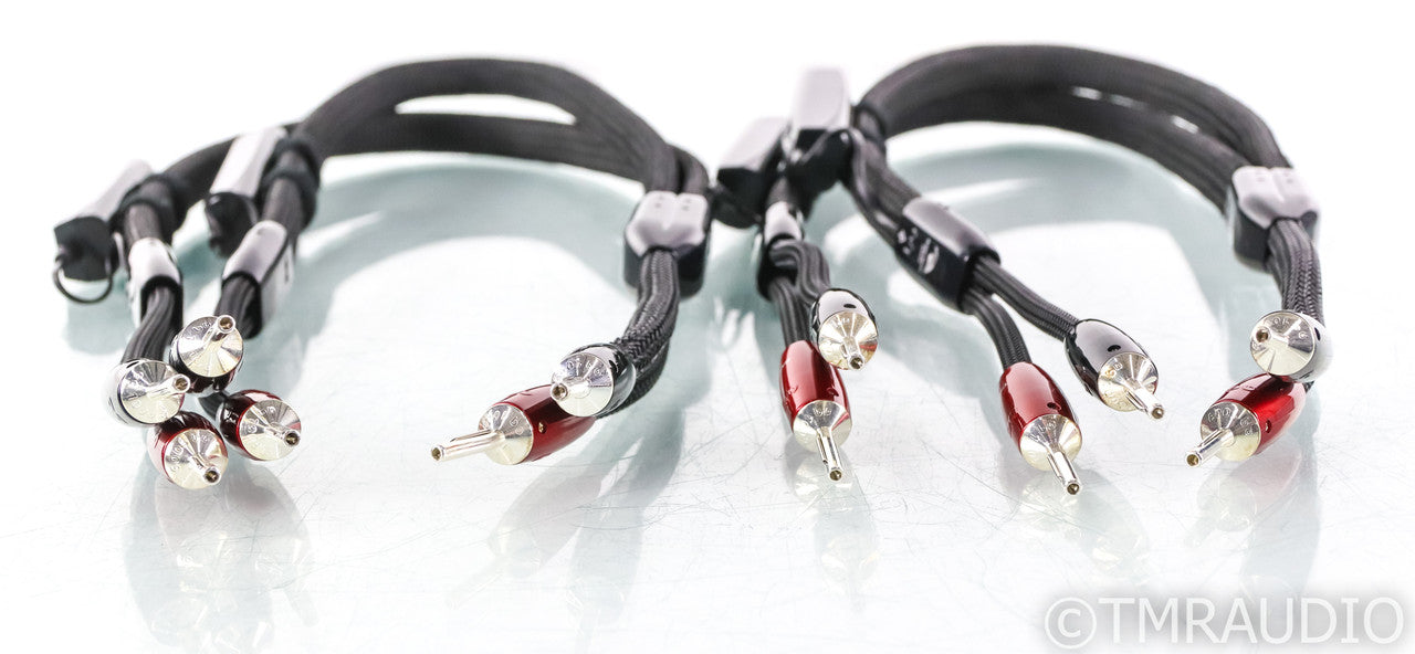 AudioQuest Robin Hood Silver Bi-Wire Speaker Cables; 3ft Pair; 72v DBS
