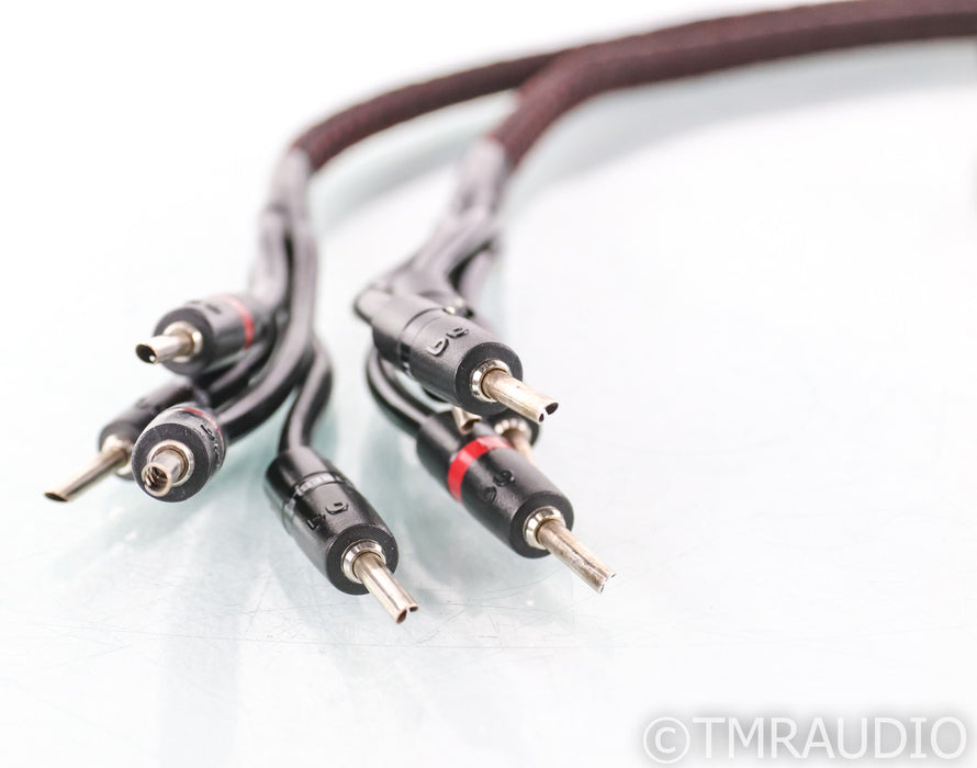 AudioQuest Rocket 33 Bi-Wire Speaker Cables; 8ft Pair