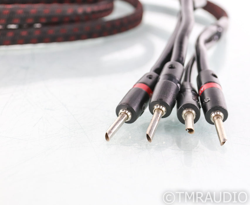 AudioQuest Rocket 33 Bi-Wire Speaker Cables; 8ft Pair