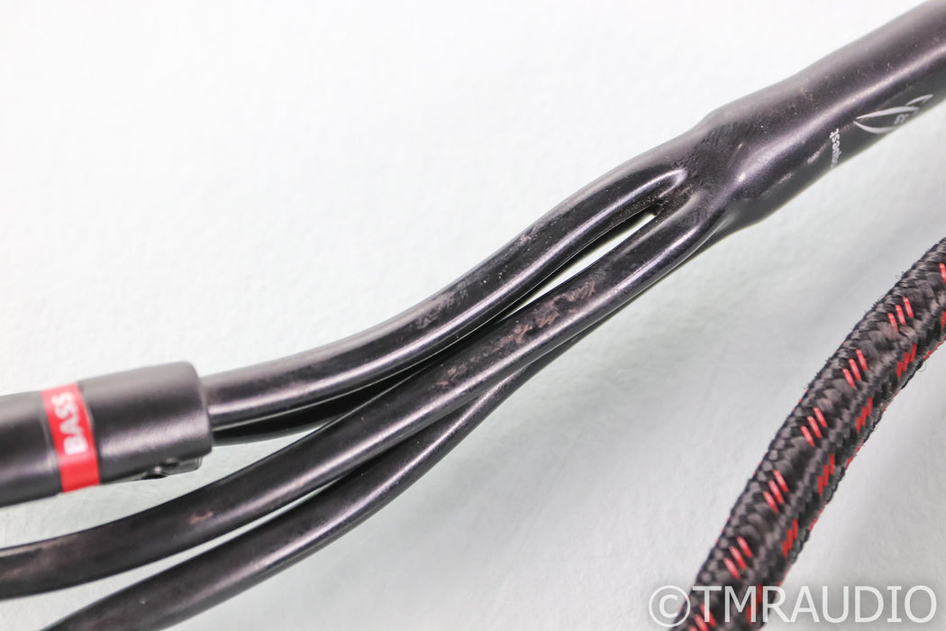 AudioQuest Rocket 33 Bi-Wire Speaker Cables; 8ft Pair