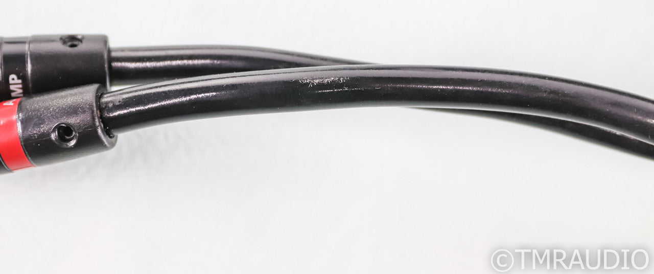 AudioQuest Rocket 33 Bi-Wire Speaker Cables; 8ft Pair
