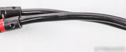 AudioQuest Rocket 33 Bi-Wire Speaker Cables; 8ft Pair