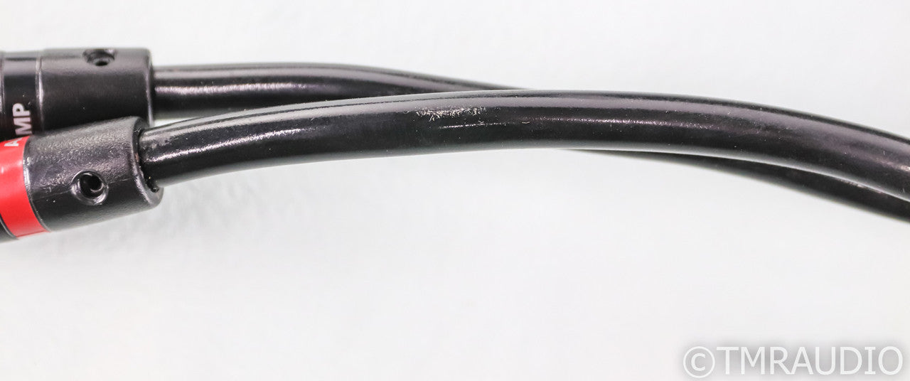 AudioQuest Rocket 33 Bi-Wire Speaker Cables; 8ft Pair