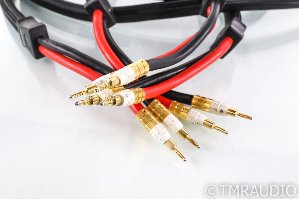 PS Audio xStream Statement Speaker Cables; 3m Pair