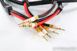 PS Audio xStream Statement Speaker Cables; 3m Pair