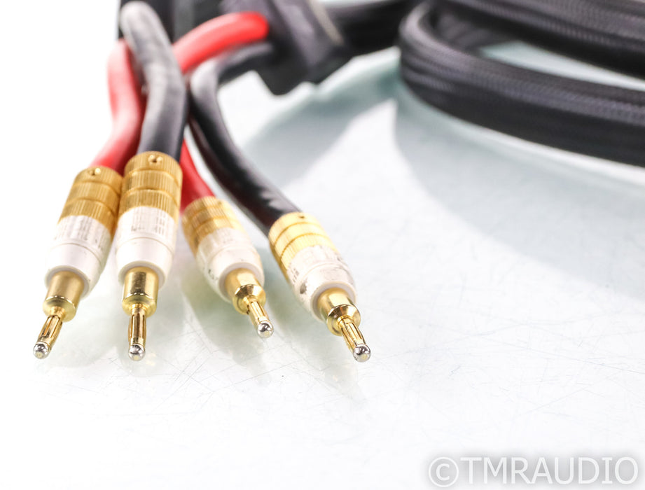 PS Audio xStream Statement Speaker Cables; 3m Pair