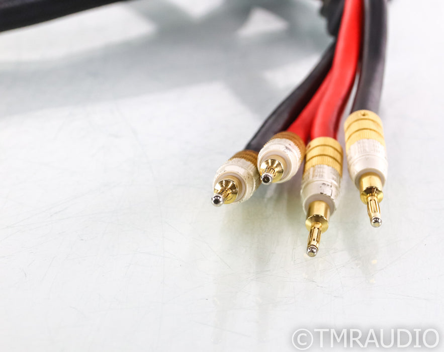 PS Audio xStream Statement Speaker Cables; 3m Pair