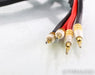 PS Audio xStream Statement Speaker Cables; 3m Pair