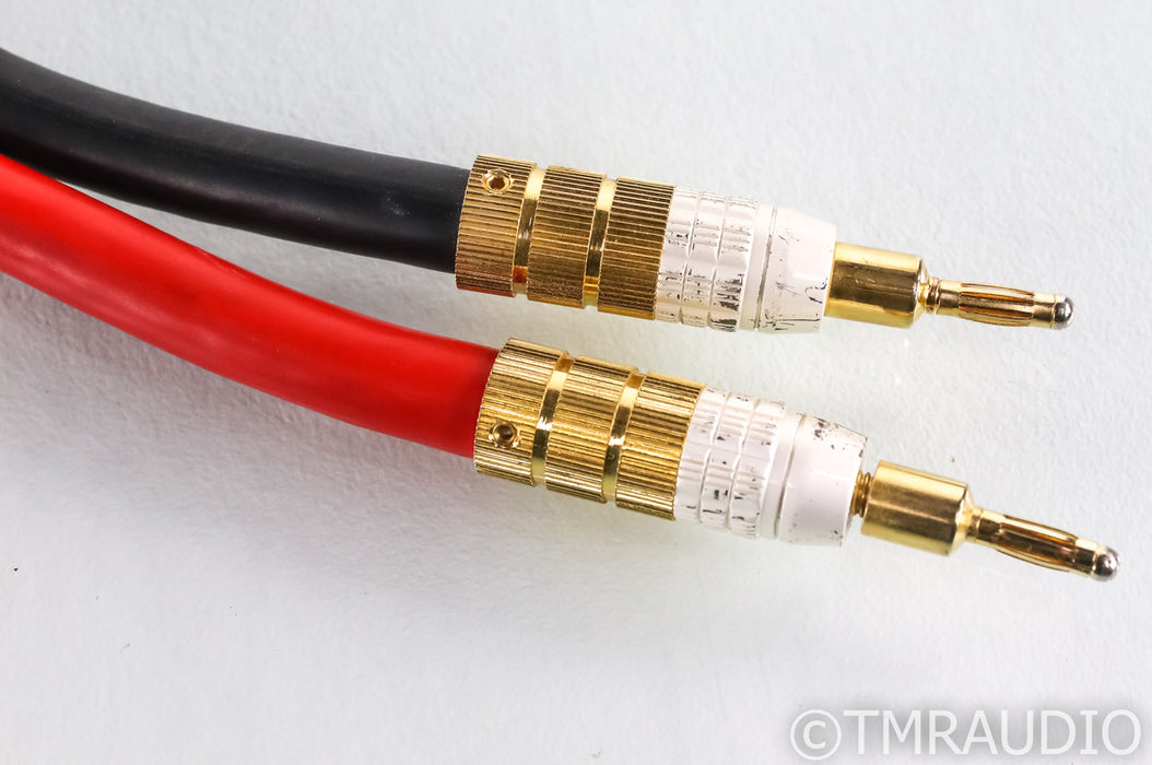 PS Audio xStream Statement Speaker Cables; 3m Pair