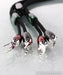 AudioQuest Robin Hood ZERO Speaker Cables; 6ft Pair; 72v DBS