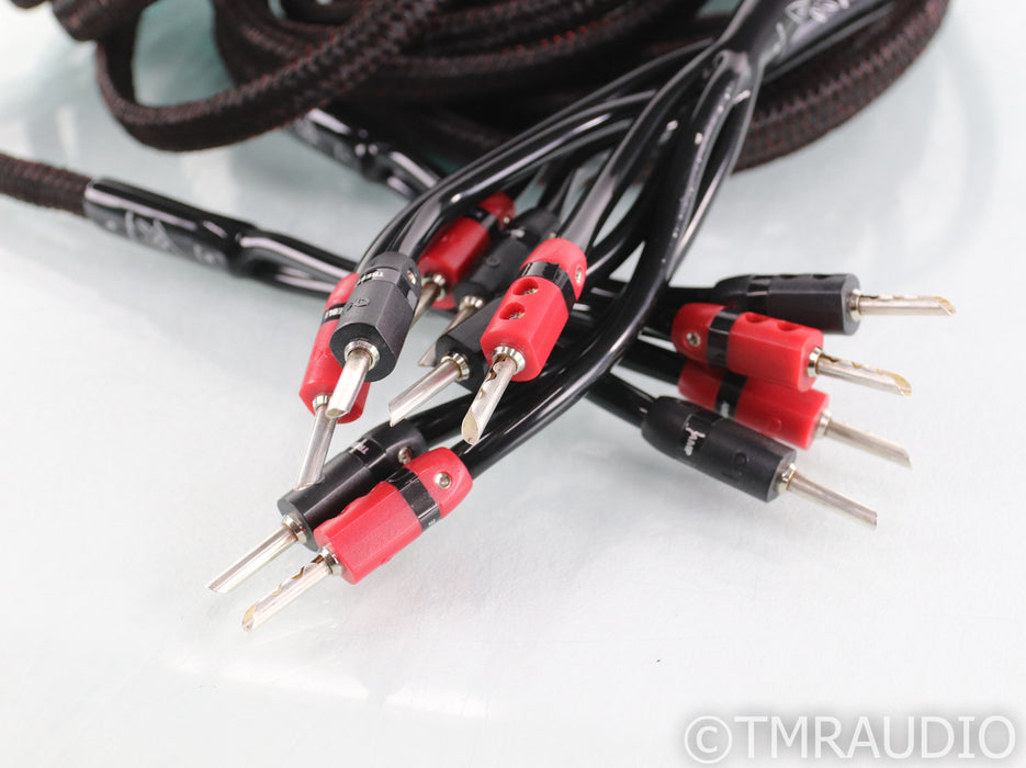 AudioQuest Rocket 33 Bi-Wire Speaker Cables; 15ft Pair