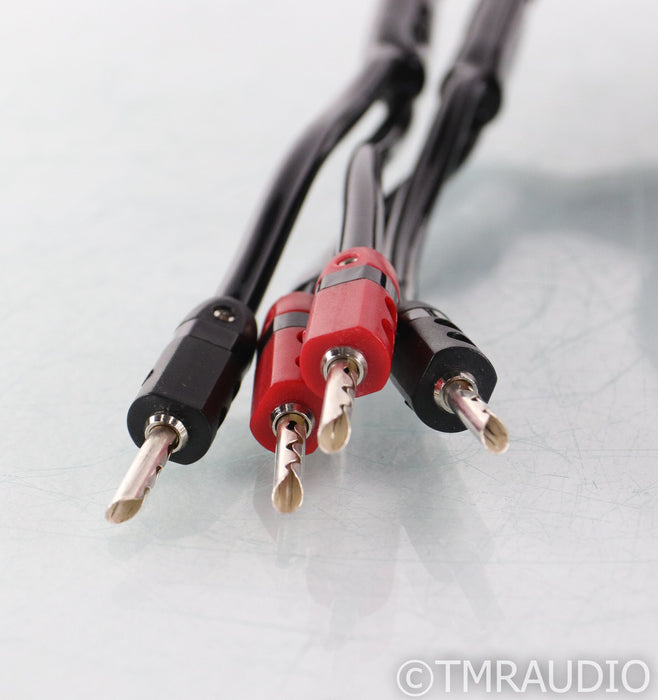 AudioQuest Rocket 33 Bi-Wire Speaker Cables; 15ft Pair