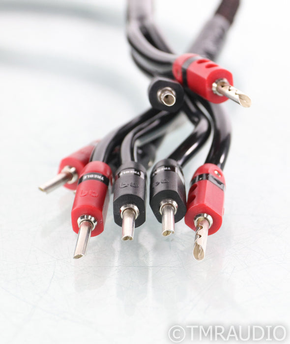 AudioQuest Rocket 33 Bi-Wire Speaker Cables; 15ft Pair