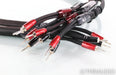 Audioquest William Tell Combo Bi-wire Speaker Cables; 8ft Pair; Black