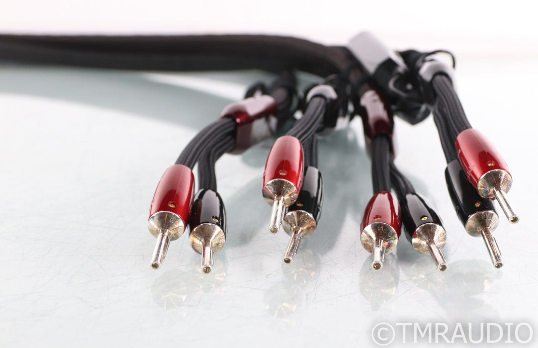 Audioquest William Tell Combo Bi-wire Speaker Cables; 8ft Pair; Black