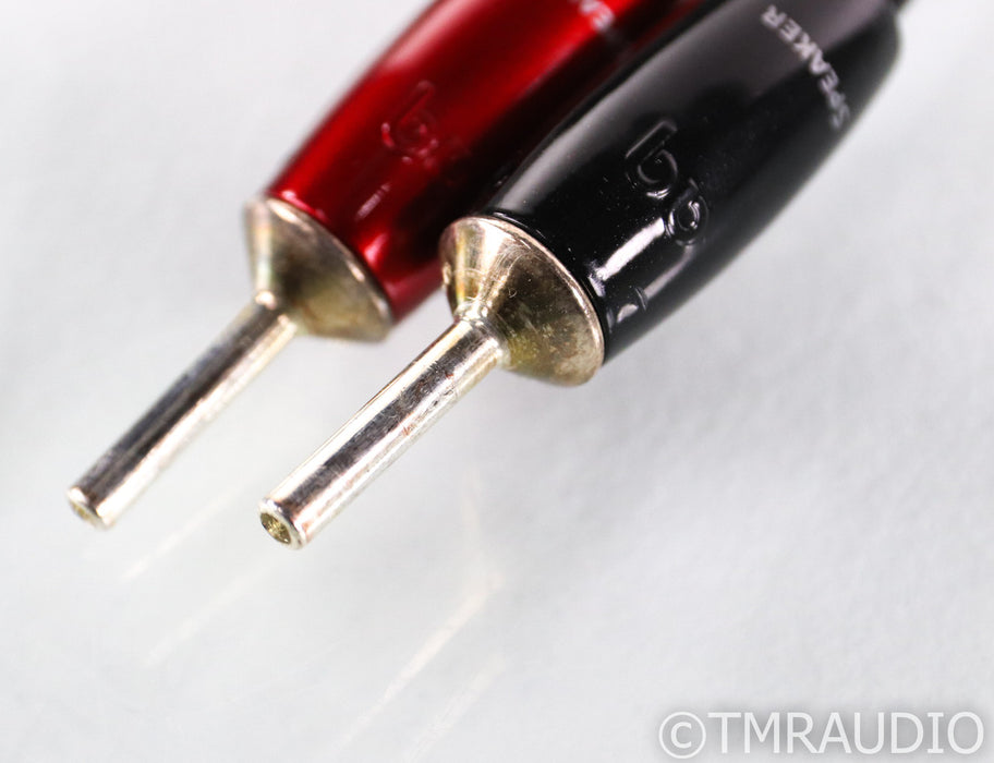 AudioQuest Rocket 88 Speaker Cables; 10ft Pair; 72v DBS