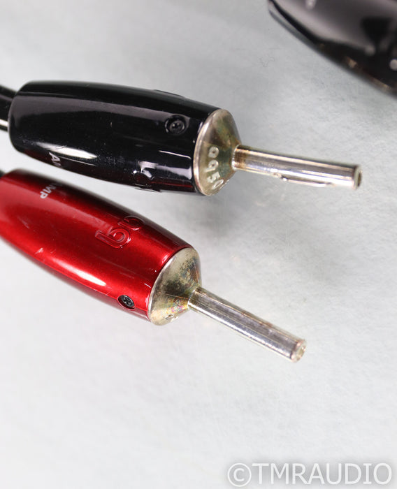 AudioQuest Rocket 88 Speaker Cables; 10ft Pair; 72v DBS