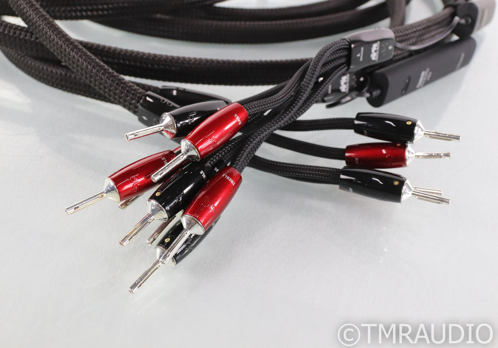 AudioQuest Castle Rock Bi-Wire Speaker Cables; 12ft Pair; 72v DBS