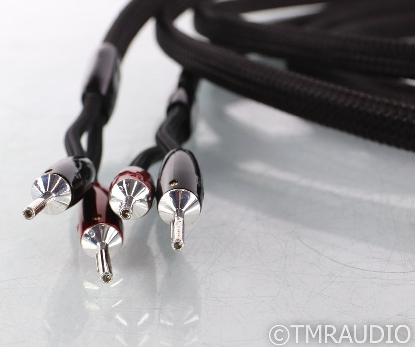 AudioQuest Castle Rock Bi-Wire Speaker Cables; 12ft Pair; 72v DBS