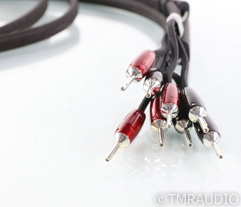 AudioQuest Castle Rock Bi-Wire Speaker Cables; 12ft Pair; 72v DBS