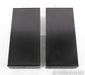 Red Dragon M500 MKII Mono Power Amplifier; M-500 MK2; Black Pair