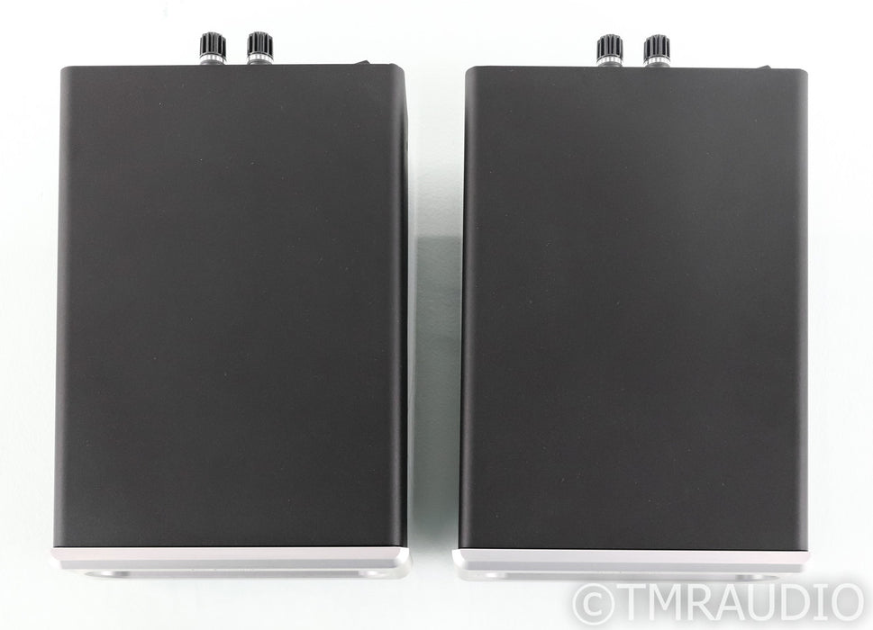 Bel Canto e.One REF600M Mono Power Amplifier; Silver Pair; 600-M