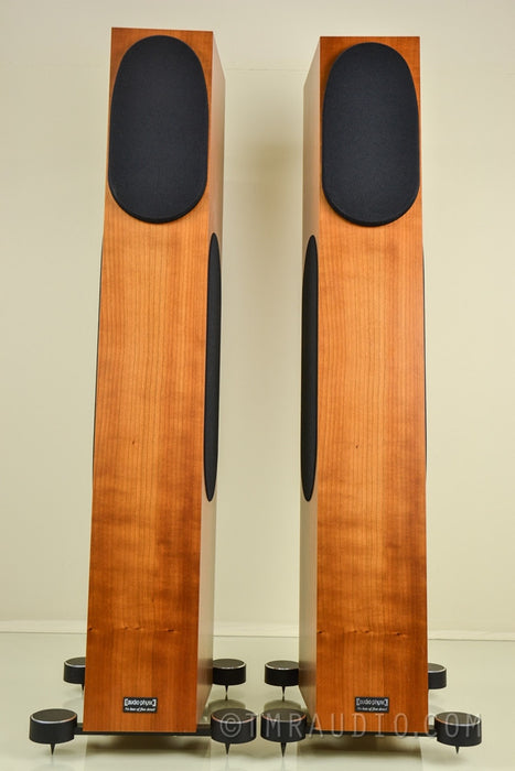 Audio Physic Tempo V Speakers