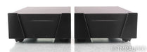 Wyred 4 Sound SX-1000R Mono Power Amplifier; Black Pair; SX1000R