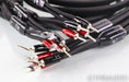 AudioQuest William Tell Silver Bi-Wire Speaker Cables; 8ft Pair; 72v DBS
