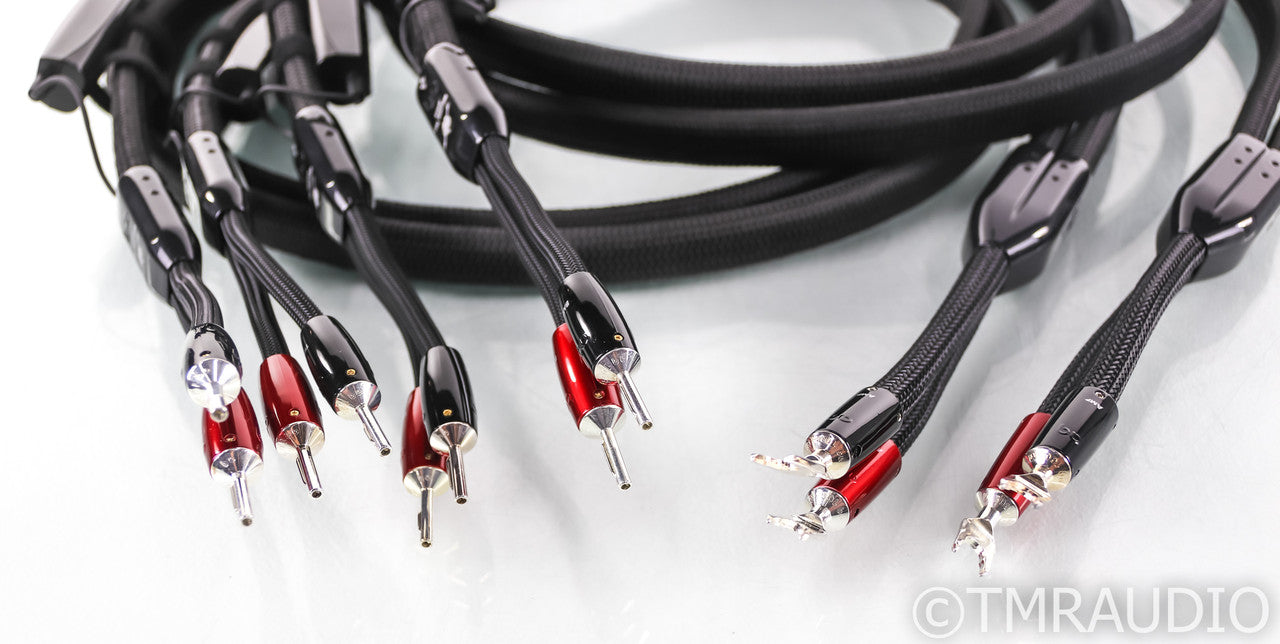 AudioQuest William Tell Silver Bi-Wire Speaker Cables; 8ft Pair; 72v DBS
