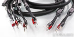 AudioQuest William Tell Silver Bi-Wire Speaker Cables; 8ft Pair; 72v DBS