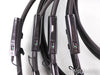 AudioQuest William Tell Silver Bi-Wire Speaker Cables; 8ft Pair; 72v DBS