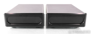 Bel Canto e.One REF600M Mono Power Amplifier; Black Pair; REF-600M