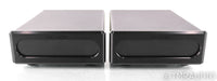 Bel Canto e.One REF600M Mono Power Amplifier; Black Pair; REF-600M