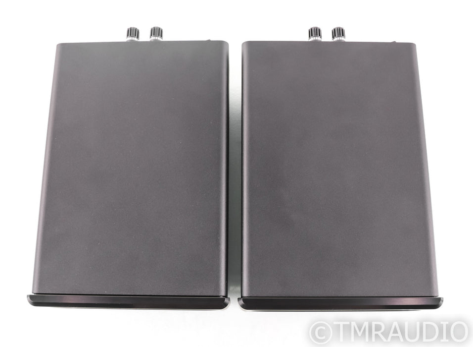 Bel Canto e.One REF600M Mono Power Amplifier; Black Pair; REF-600M