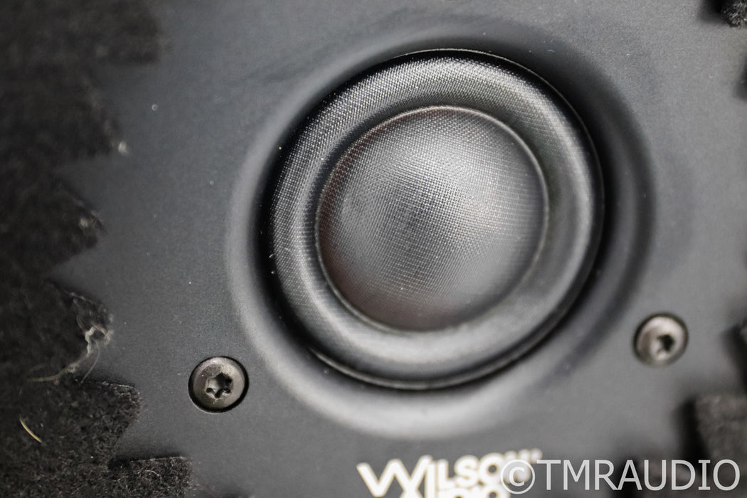 Wilson Audio Sasha DAW Floorstanding Speakers; IsoAcoustics; Crimson Satin Pair