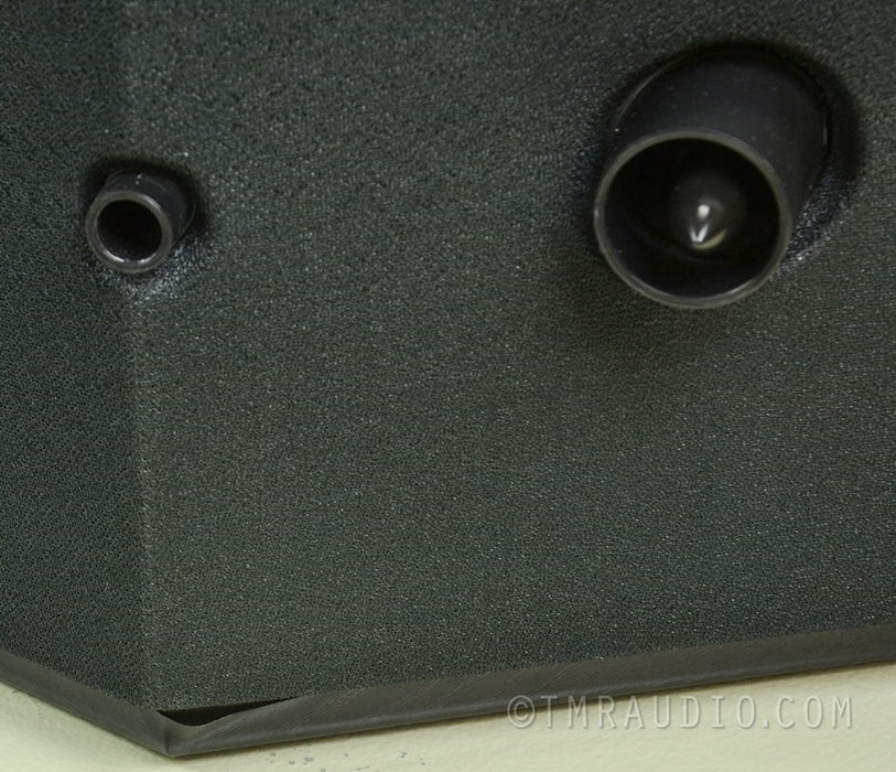 Bose 901 VI Speakers