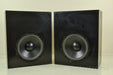 Snell Sub 550 THX Passive 12" Subwoofer