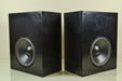 Snell Sub 550 THX Passive 12" Subwoofer