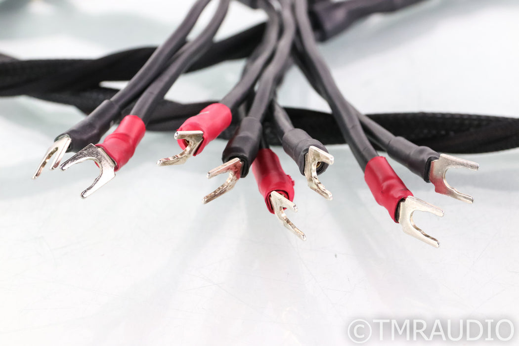 Synergistic Research Element Tungsten (W) Speaker Cables; 8ft Pair; MPC