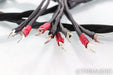 Synergistic Research Element Tungsten (W) Speaker Cables; 8ft Pair; MPC