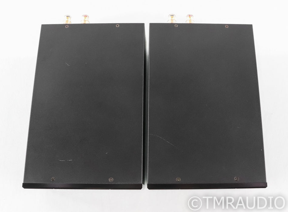 Wyred 4 Sound Ice Cube SX-1000R Mono Power Amplifier; Pair; SX1000R