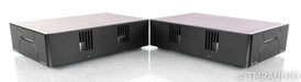 Wyred 4 Sound Ice Cube SX-1000R Mono Power Amplifier; Pair; SX1000R